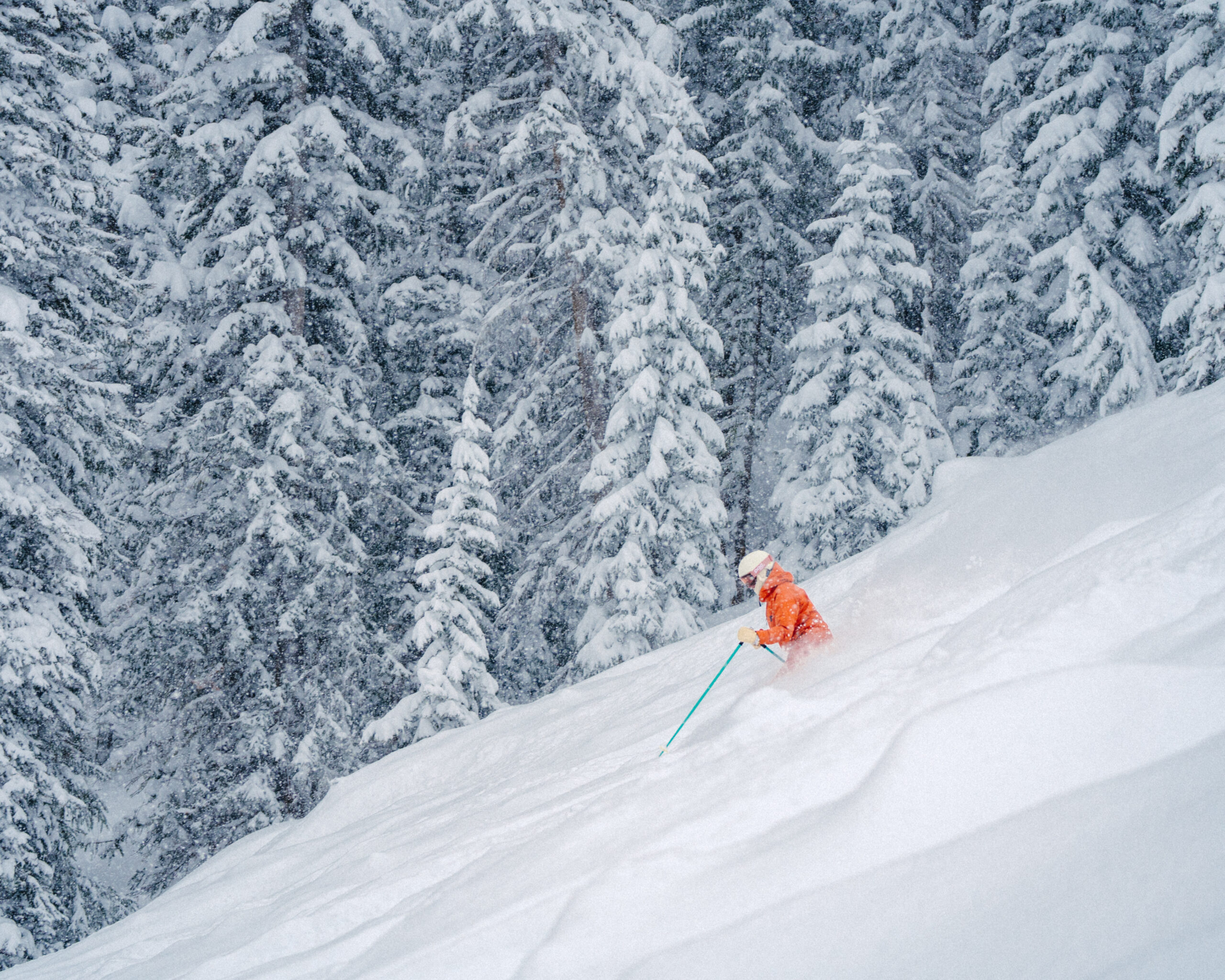 20250215 BC MILLER 17 scaled