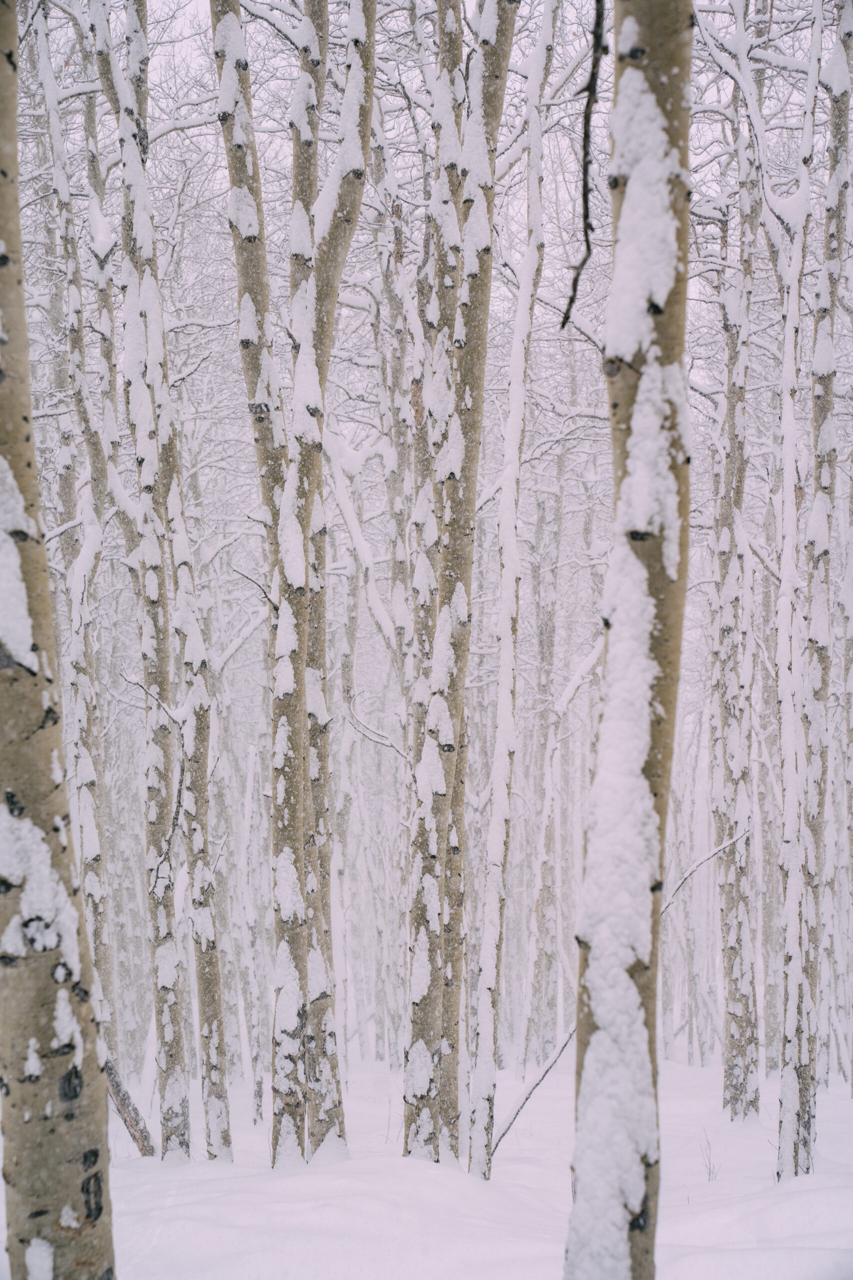 20250214 BC DUNN 7 1 scaled