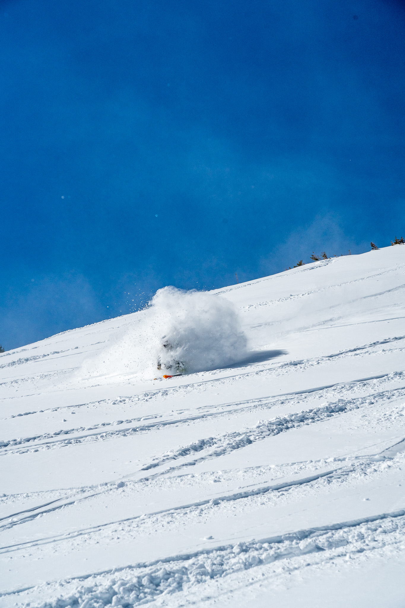 20250219 BR Douvalakis 039