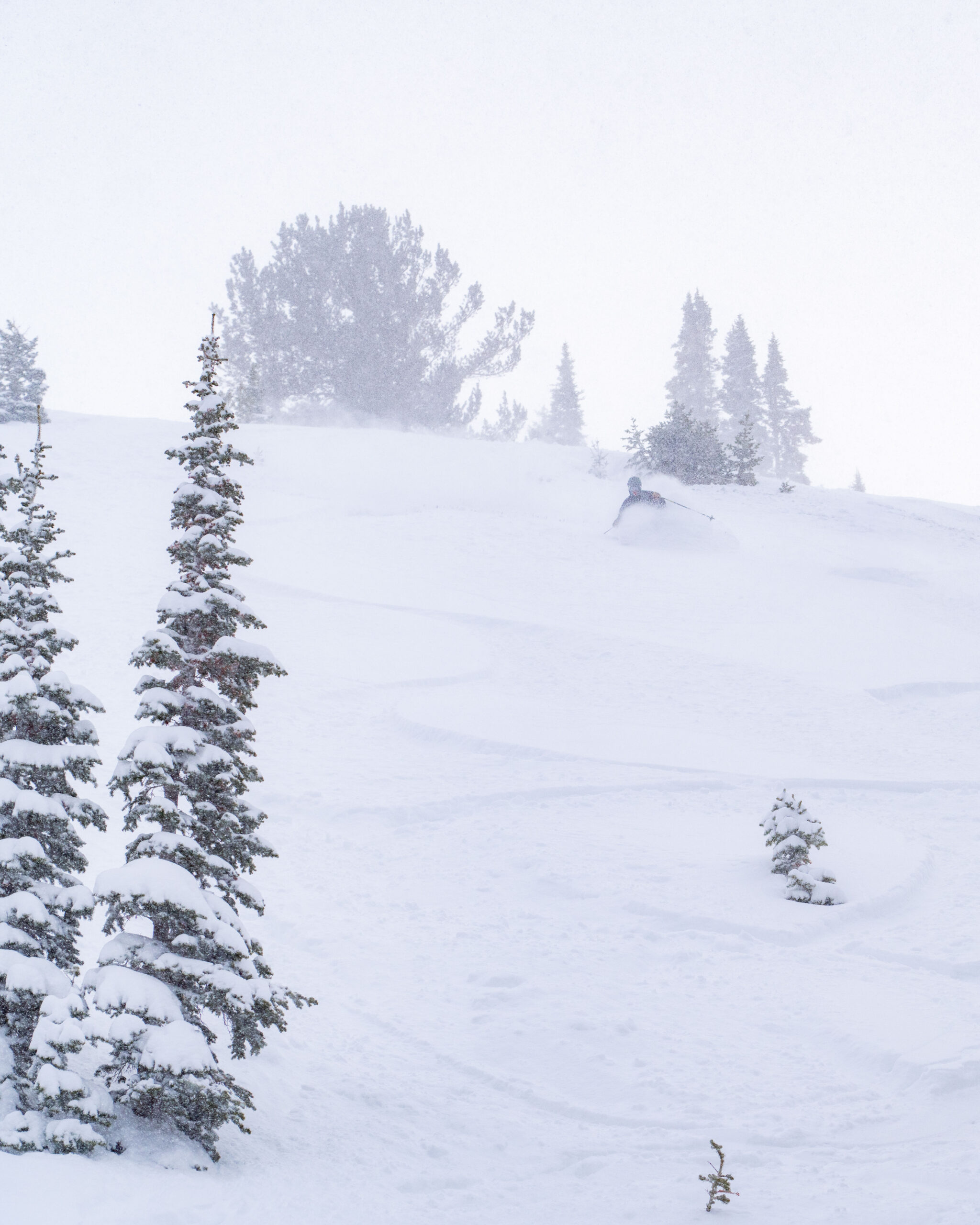 20250214 Loosmann PC 065 scaled