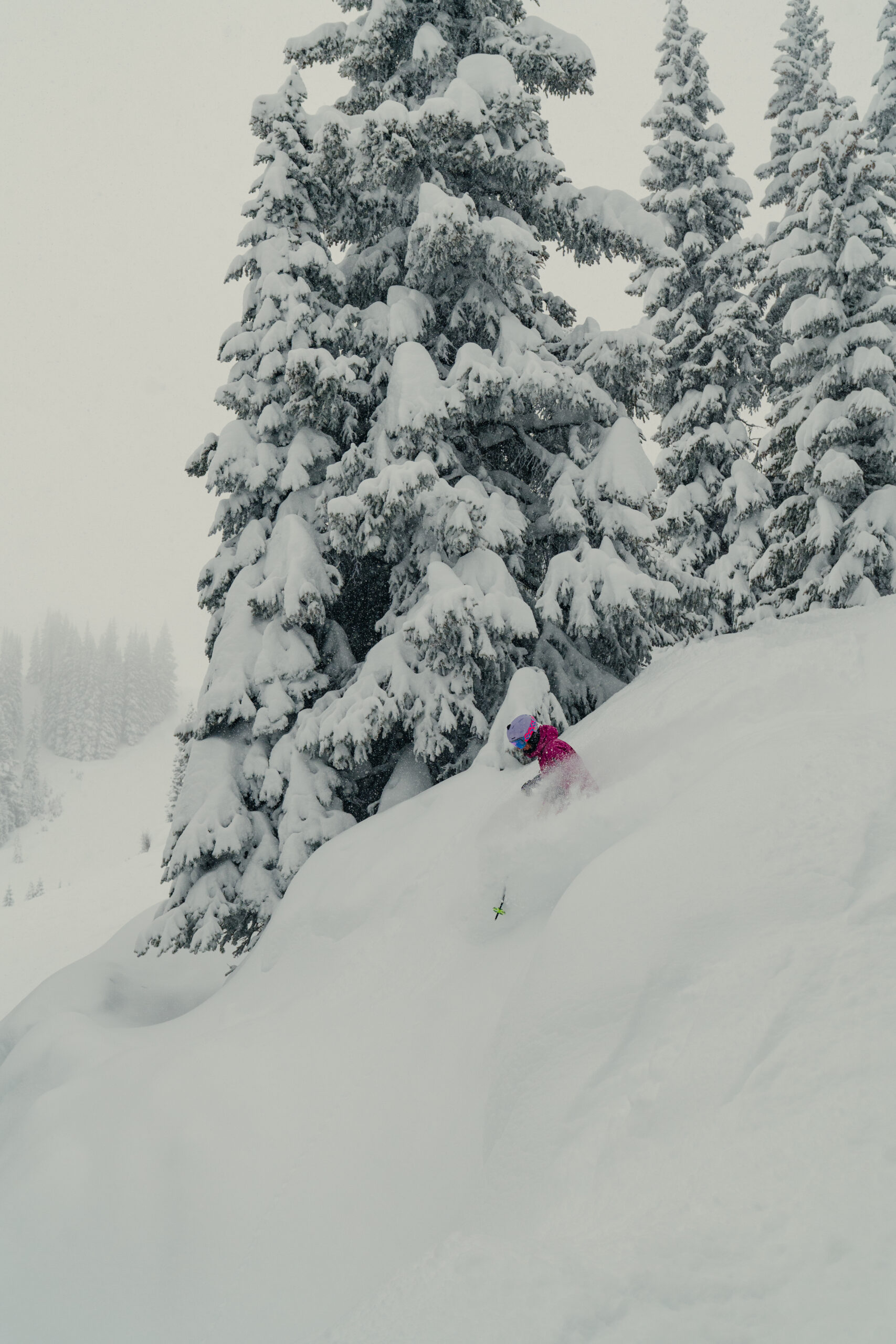 20250218 VL RITTER 48 scaled