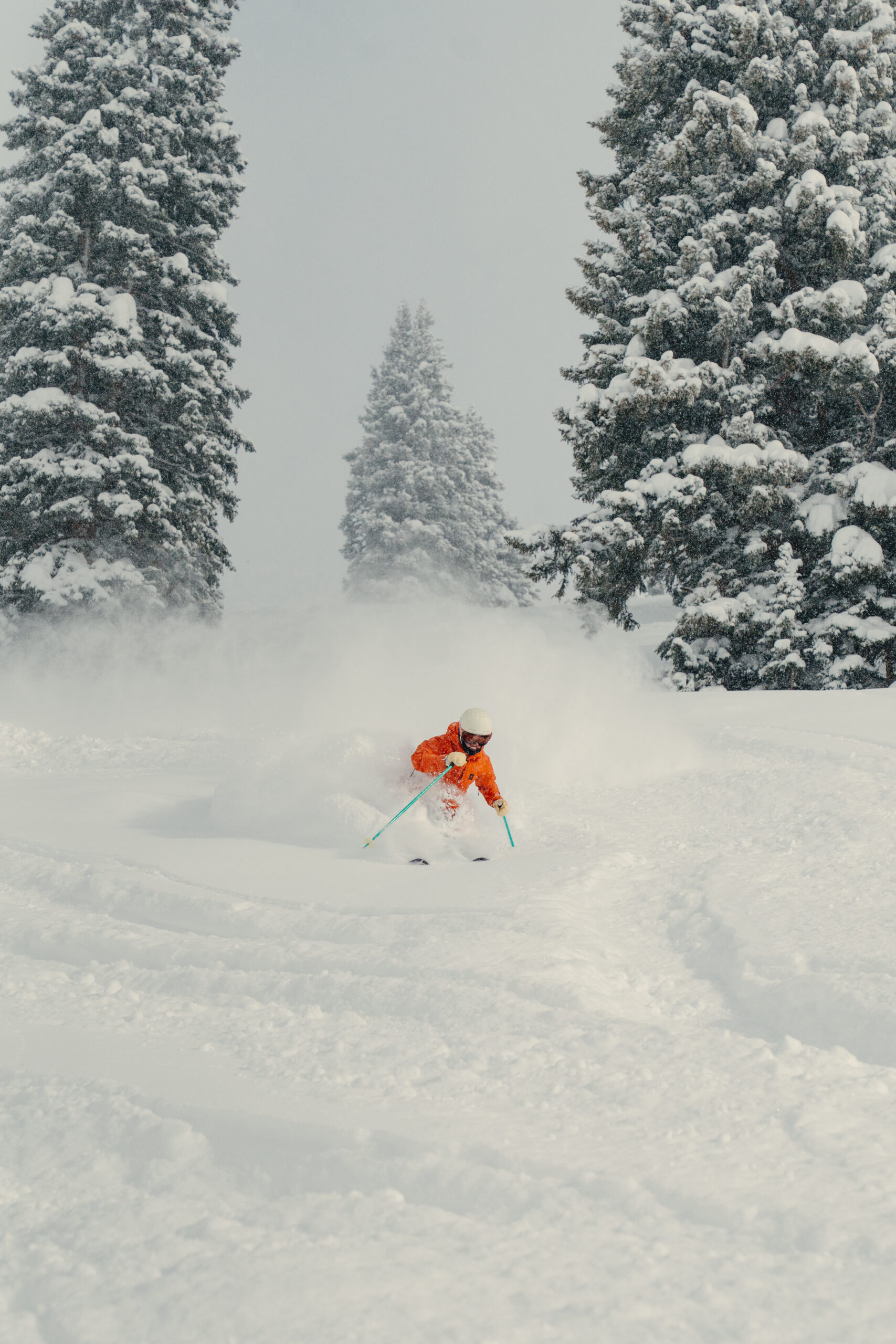 20250218 VL RITTER 29 scaled