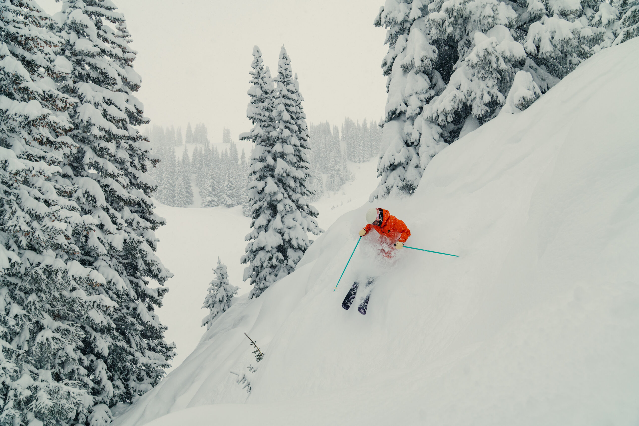 20250218 VL RITTER 45 scaled