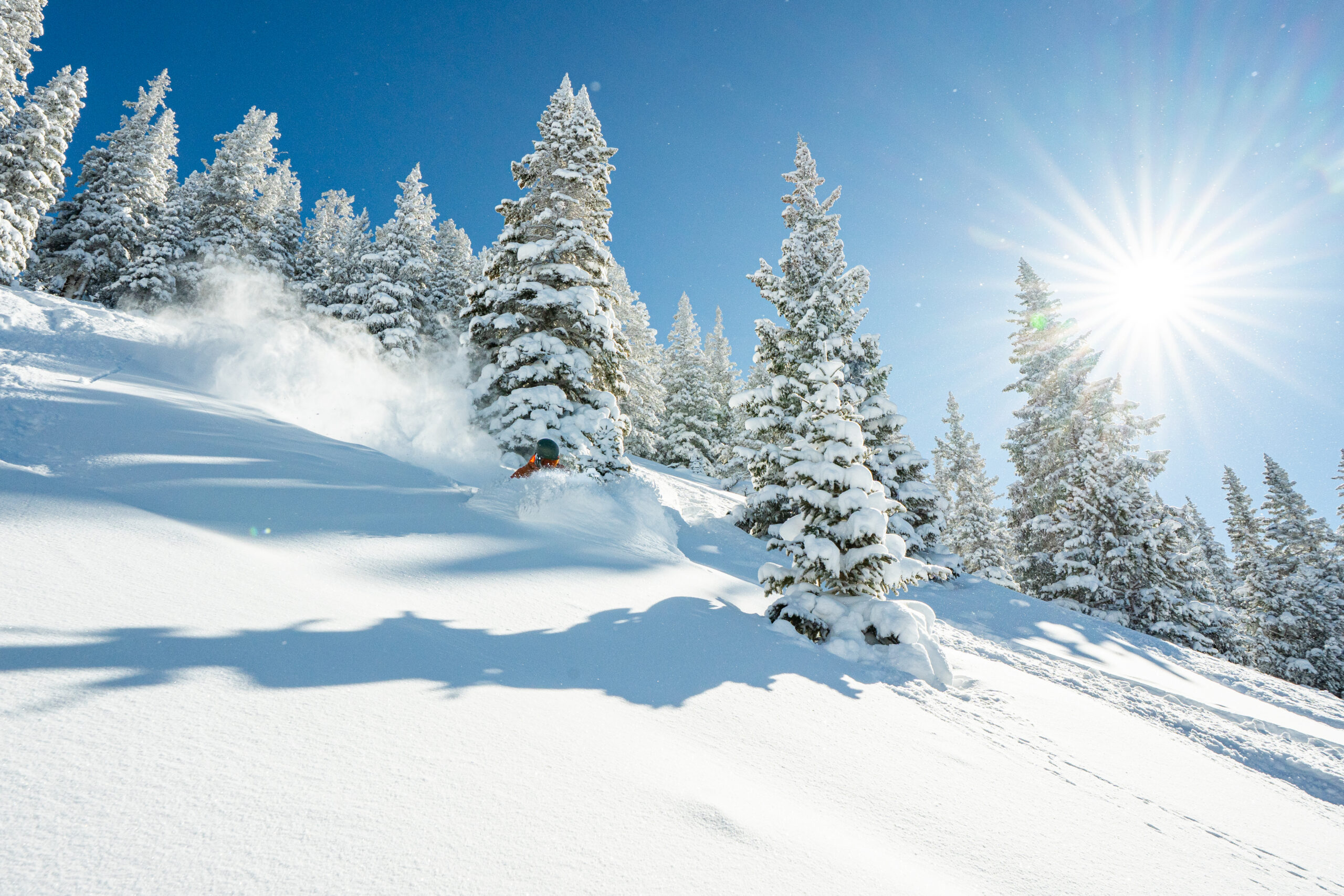 20250219 KY Young 003 scaled