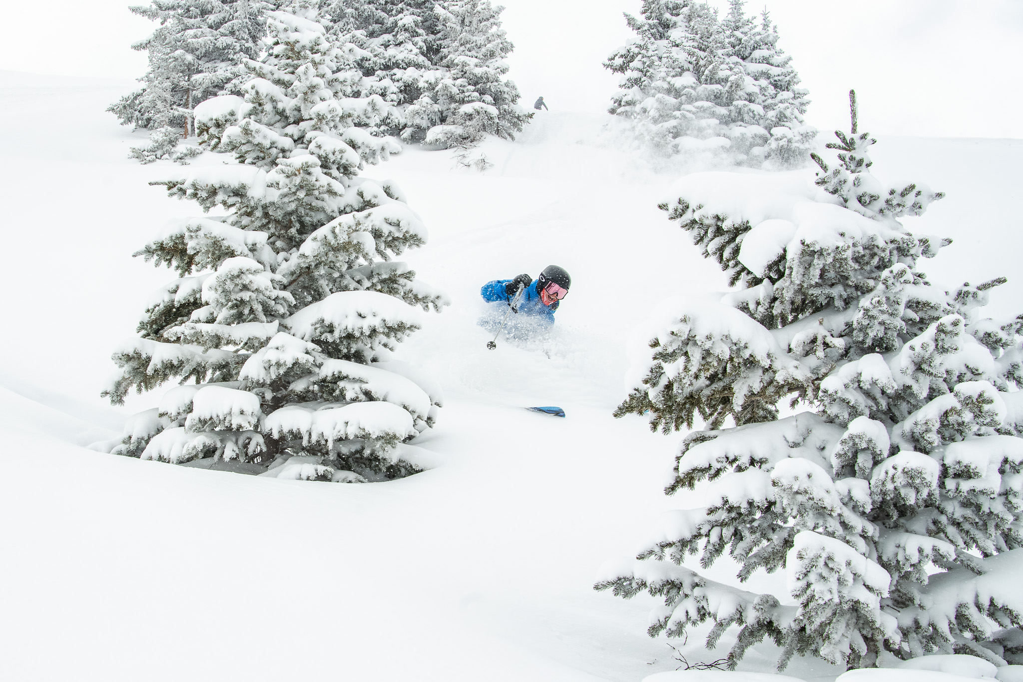 20250218 KY Young 007