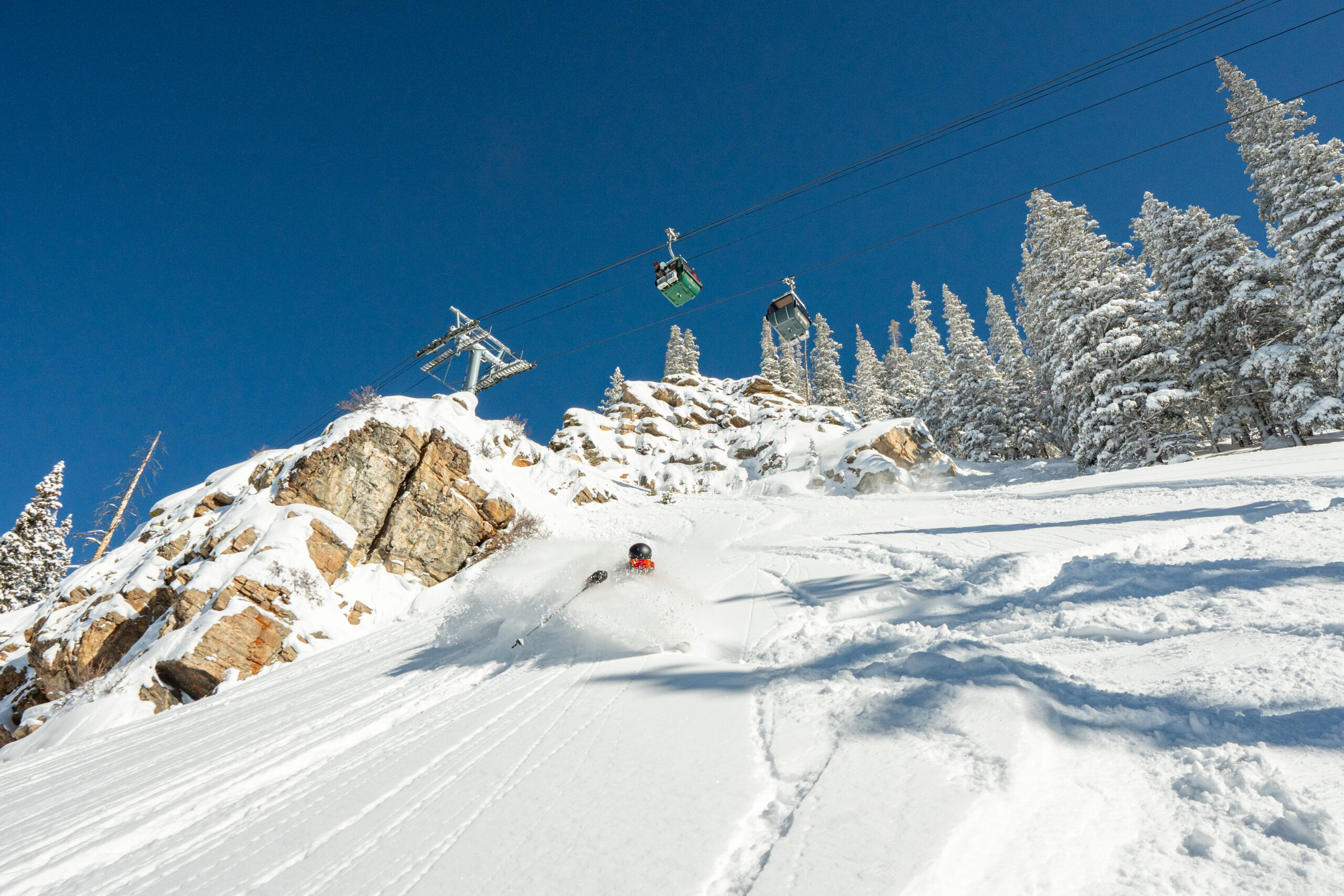 20250219 KY Young 007 scaled