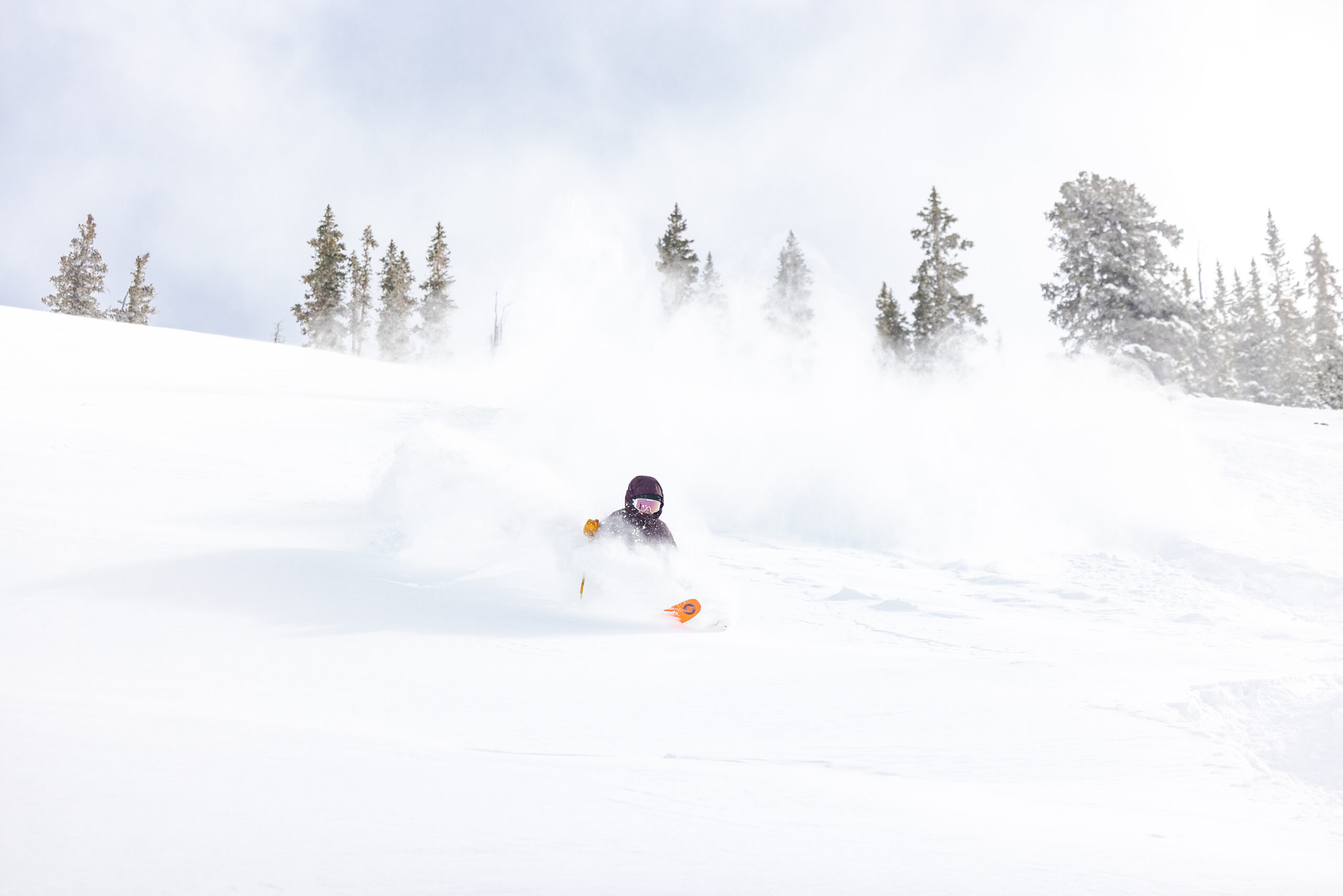 20250215 CB AHearn 02A8703 scaled