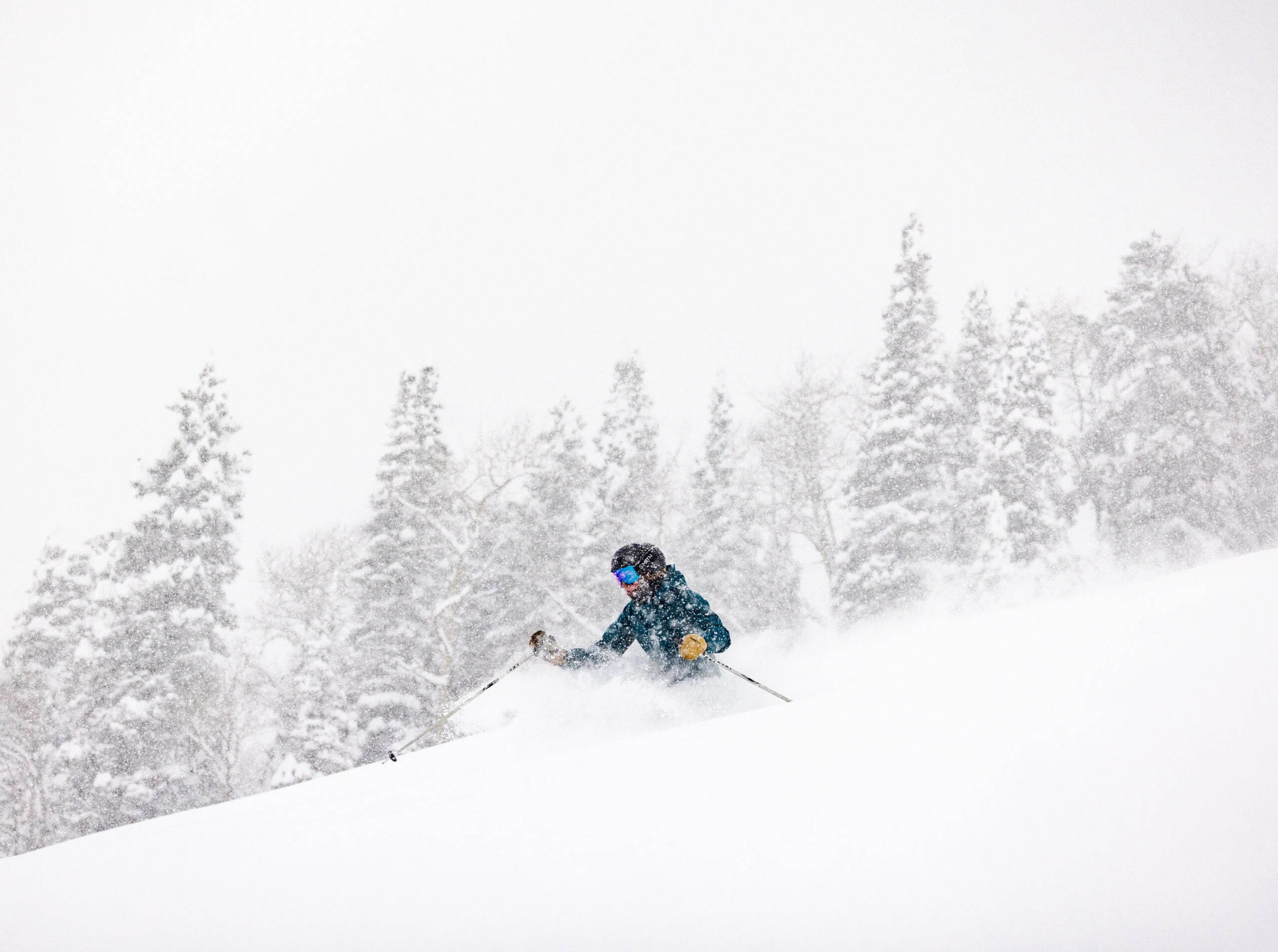 20250215 CB AHearn 02A7364 scaled